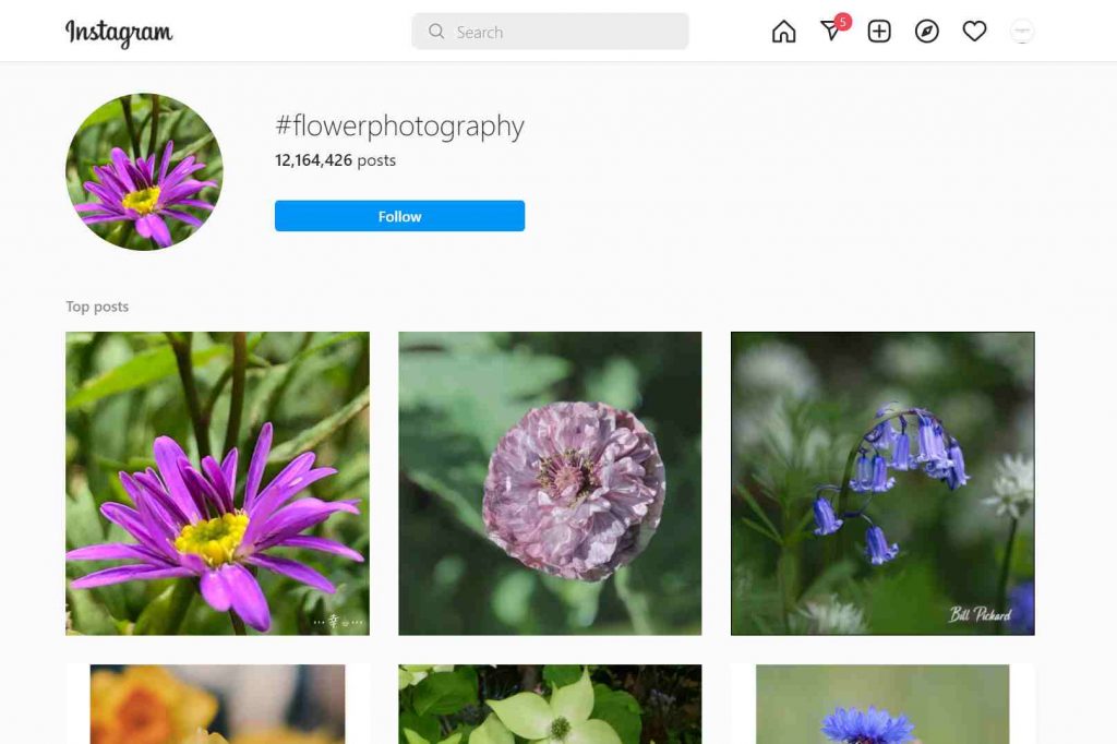 Flower Photography Hashtags