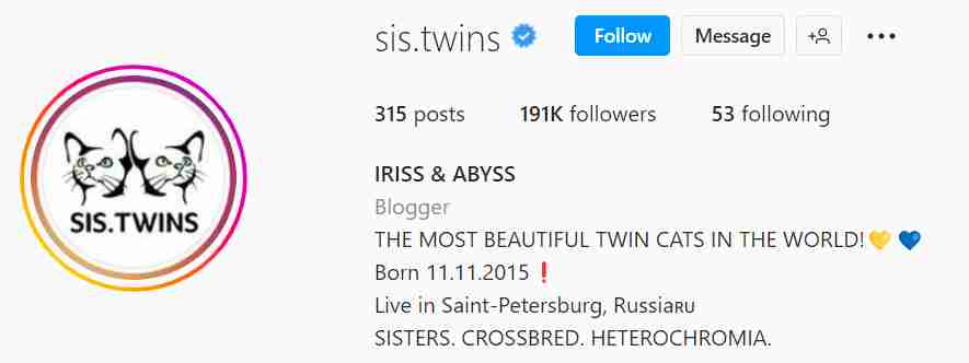 sis twins