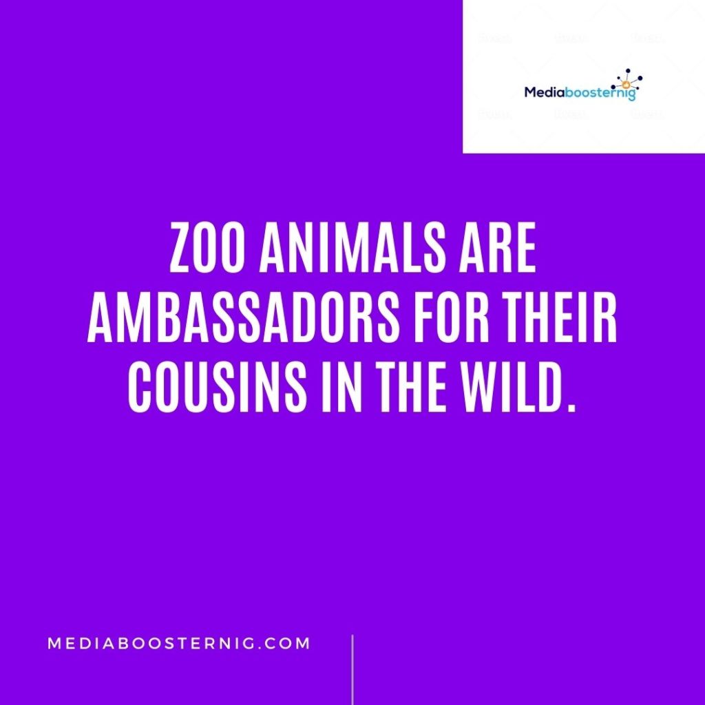 Zoo Quotes for Instagram